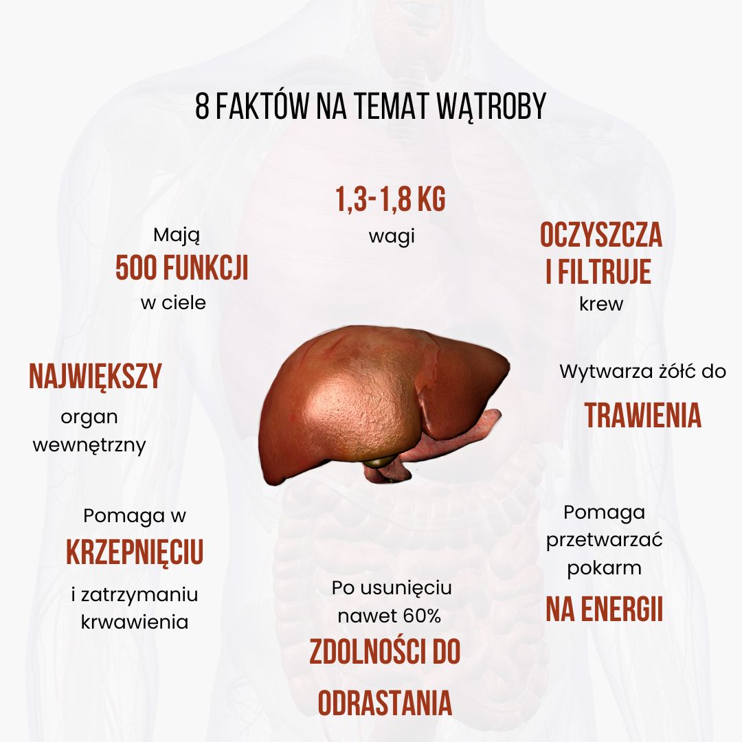 (Polština) 8 faktů o játerech